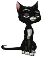 black cat Picture