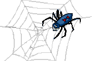 spider on a web gif