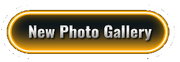 'the new photo gallery' button