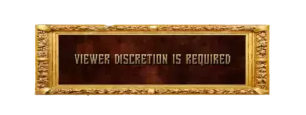 'Viewer discretion is required'